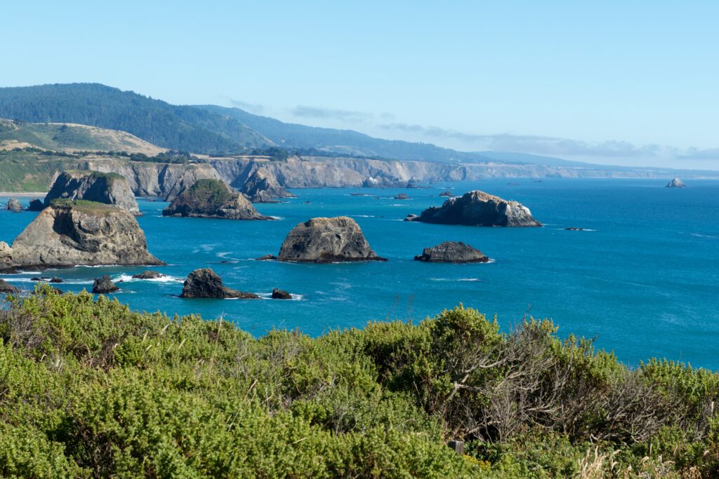 Mendocino coast