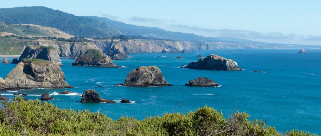 Mendocino Sea Mounts