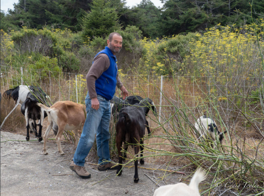 Dave Shpak with Goats